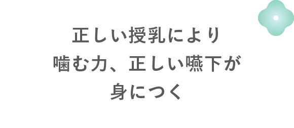 正しい授乳により噛む力、正しい嚥下が身につく