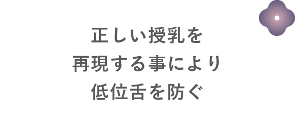 正しい授乳を再現する事により低位舌を防ぐ